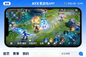 在手机上使用AYX爱游戏APP观看王者荣耀直播的界面展示